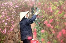 Lịch nghỉ tết Âm lịch và Quốc khánh năm 2021