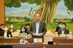 Vì sao trẻ em đi cai nghiện phải có ý kiến của tòa án?