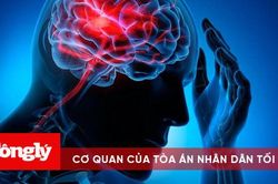 Đột quỵ: Bệnh lý nguy hiểm có thể tước đi mạng sống của bất kỳ ai trong vài giờ