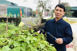 Người giáo dân góp hàng trăm triệu làm đẹp khu dân cư ở Hà Tĩnh