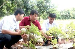 Những nhà nông trẻ tiêu biểu