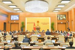 Sẽ xem xét tăng đại biểu chuyên trách tại HĐND thành phố Hà Nội