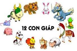 Dự đoán ngày 12/12/2020 cho 12 con giáp: Dần lao dốc, Tuất dễ lừa gạt