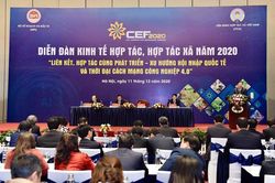 Nhiều hợp tác xã có doanh thu trên 100 tỷ đồng