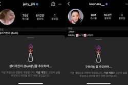 Instagram của Sulli - Goo Hara chuyển thành tài khoản 'tưởng niệm người đã khuất'