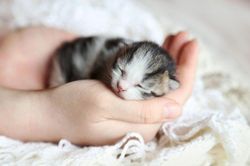Thoát khỏi sợ hãi