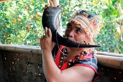Con trâu với văn hóa Tây Nguyên