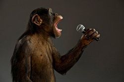 Giả thuyết mới về ngôn ngữ của loài người