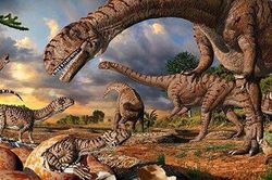 Phát hiện tổ khủng long xưa chưa từng thấy