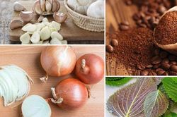 Tận dụng những vật thường có trong bếp, chị em nội trợ đuổi ngay được lũ côn trùng khó chịu mà không tốn một đồng