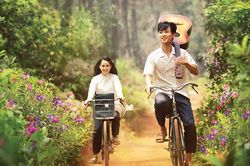 Phim 'Mắt biếc' dự giải thưởng Oscar lần thứ 93