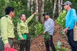 Bắc Bộ và Trung Bộ chủ động ứng phó với rét đậm, rét hại