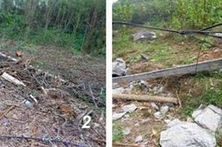 Cần sớm phục dựng các trụ cáp bị gãy đổ