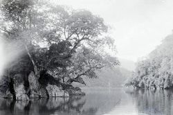 Ngây ngất cảnh thần tiên hồ Ba Bể năm 1927 do người Pháp chụp