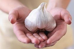 Những chứng bệnh phải kiêng ăn tỏi