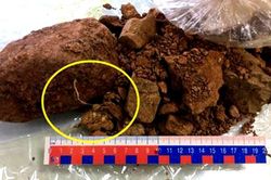Xuất khẩu quặng bauxite thô, một doanh nghiệp đã bị khởi tố