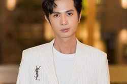Cả showbiz Việt lùng sục người livestream dùng lời lẽ xúc phạm vợ chồng cố nghệ sĩ Chí Tài