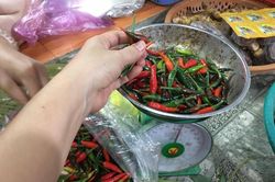 Giá ớt tăng kỷ lục, tiểu thương chẳng buồn bán lẻ