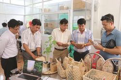 An Giang đảm bảo an toàn vệ sinh thực phẩm trong lĩnh vực nông nghiệp