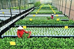 Đồng Nai: Thanh tra tài chính kiến nghị thu hồi gần 8 tỷ đồng