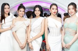 Thêm màn đọ sắc giữa Hoa hậu Đỗ Thị Hà, Tiểu Vy và Mỹ Linh: Ai cũng như nữ thần