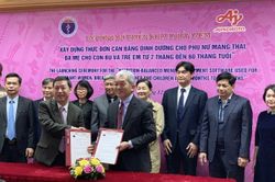 Đã có phần mềm chọn món dinh dưỡng cho mẹ bầu và bé