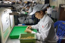 Cơ hội tươi sáng cho doanh nghiệp công nghiệp hỗ trợ năm 2021