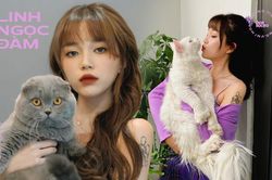 Những bức ảnh được thả tim nhiều nhất của Linh Ngọc Đàm, bất ngờ nhất vẫn là 'trùm cuối'