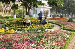 Bảo vệ môi trường cảnh quan Thành cổ Sơn Tây: Cần có hành động, việc làm cụ thể