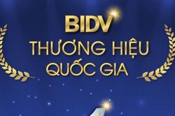Tin nhanh thị trường chứng khoán ngày 16/12: Cổ phiếu Ngân hàng giúp VN Index tăng mạnh