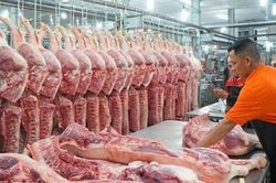 Giá thịt lợn tăng trở lại sau thời gian 'hạ nhiêt'