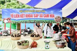 Hỗ trợ phụ nữ khởi nghiệp