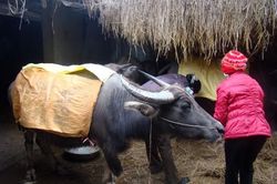 Những ngày giá rét