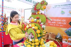 Lễ hội Cam và sản phẩm nông nghiệp Hà Tĩnh: 'Giờ G' đã điểm