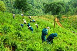Quan trọng nhất là nguồn vốn