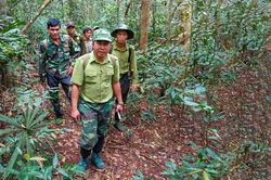 Cát Tiên: Tăng cường bảo vệ rừng dịp cuối năm
