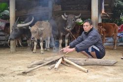 Nông dân miền núi Nghệ An nhóm lửa, che chuồng chống rét cho trâu, bò
