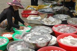 Phân biệt tôm, cá bị ngâm hóa chất bằng cảm quan