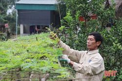 Bình yên xứ đạo Tân Thành