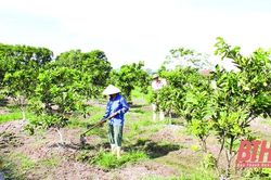 Phát huy vai trò tiền phong, gương mẫu của cán bộ, đảng viên ở huyện Thạch Thành