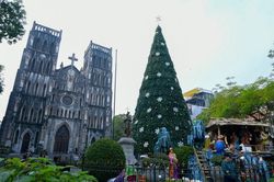 Hàng loạt cây thông Noel khổng lồ 'mọc' trên phố Hà Nội