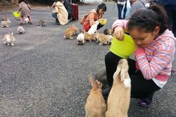 Những điều lạ lùng ở Nhật Bản