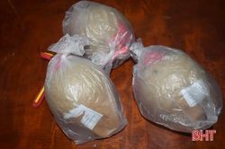 3 giờ đồng hồ, công an xã ở Cẩm Xuyên vận động thu hồi, bắt giữ 8,3kg pháo