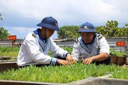 Ngắm 'bức tranh thôn quê' đầy sắc xanh trên quần đảo Trường Sa