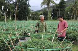 An Khê chú trọng phát triển kinh tế tập thể