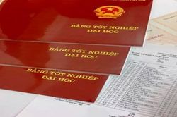 'Văn bằng 2 tiếng Anh không nên có giá trị suốt đời'