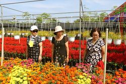 Làng hoa Sa Đéc tất bật chuẩn bị đón Tết Nguyên đán
