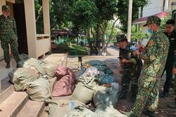 Tăng cường công tác chống buôn lậu, gian lận thương mại và hàng giả dịpTết Nguyên đán Tân Sửu 2021