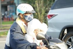 TPHCM se lạnh như Đà Lạt