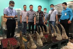 Phát hiện lô sừng tê giác hơn 90kg nhập lậu qua sân bay Tân Sơn Nhất